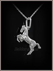 Kétoldalas ágaskodó ló medál ezüstből